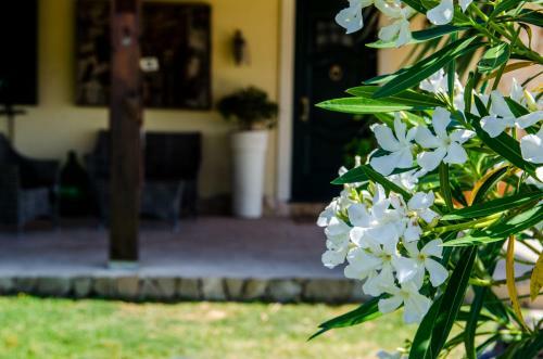 Villa B&B Etna Ranch