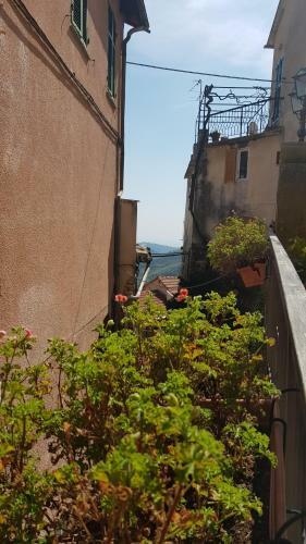 Apartamento Casa Al-ma