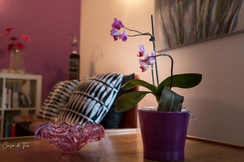 Apartamento Casa Di Tea