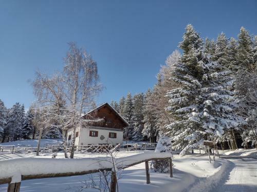 B&B Alle Betulle