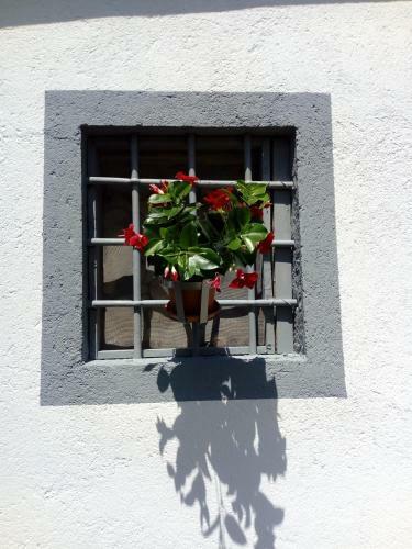 B&B Alle Betulle