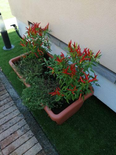 La Villa Del Marchese