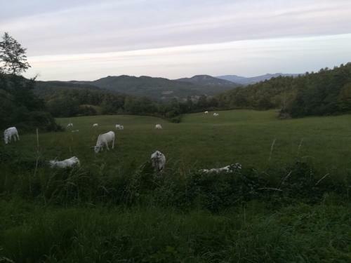 Apartamento Da Santina