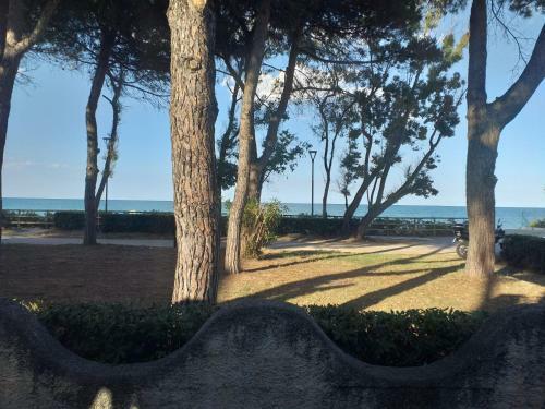 Hostal Room In Bb - Spacious Double Room A Stones Throw From The Sea