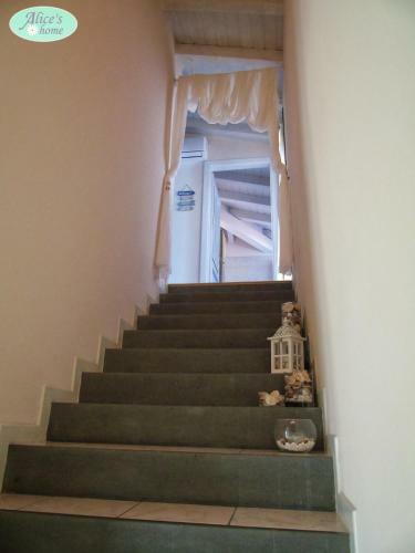 Alice S Home