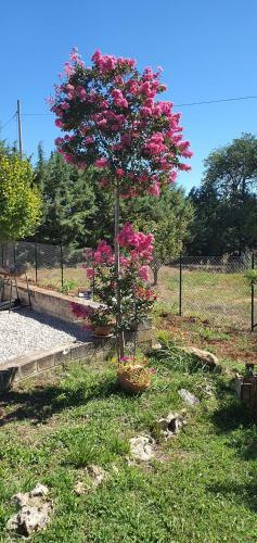 Villa Leone