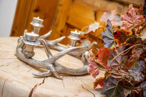 Apartamento Chalet Mountain Plaza - Apt Garden