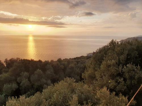 Apartamento La Villa Del Pixus