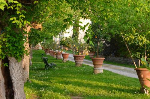 Apartamento Ginestra