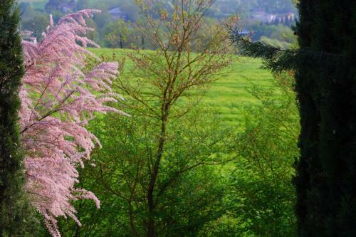 Apartamento Ginestra