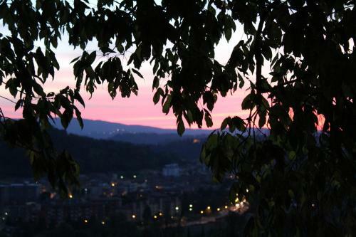 Apartamento Ginestra