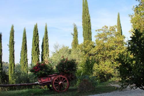 Apartamento Ginestra