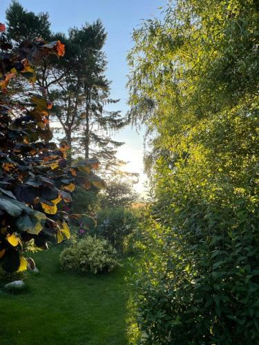 Apartamento Peeneurlaub