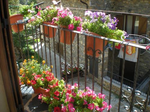Apartamentos L�era De Baix