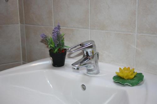 Apartamentos L�era De Baix