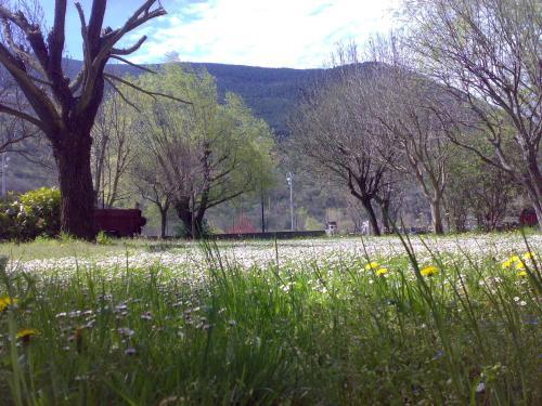 Apartamentos L�era De Baix