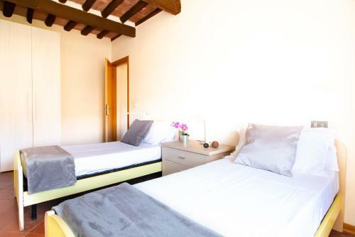 Apartamento Arco Antico In Pisa Historical Center