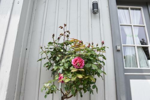 Apartamento Bahnhof Laussnitz