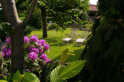 Ferienhaus Hummel-nest