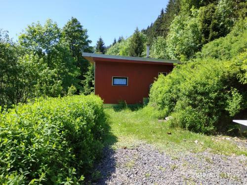 Waldluftin Ferienhaus