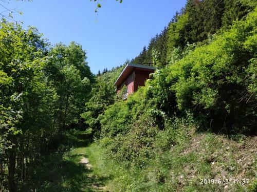 Waldluftin Ferienhaus