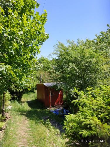 Waldluftin Ferienhaus