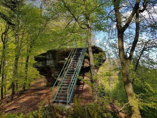 Apartamento Sch�ne Ferienwohnung Mitten Im Pf�lzerwaldgebiet