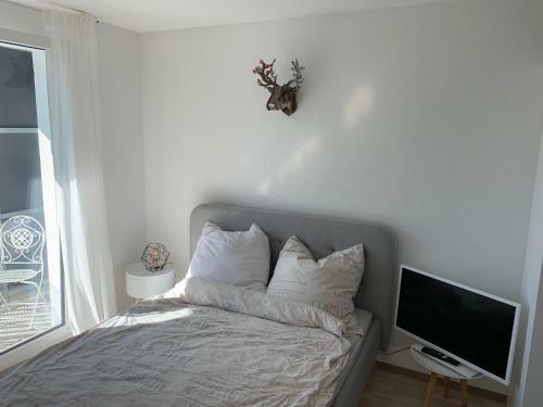 1-zi. Apartment, Echterdingen Bei Flughafen/messe Stgt.