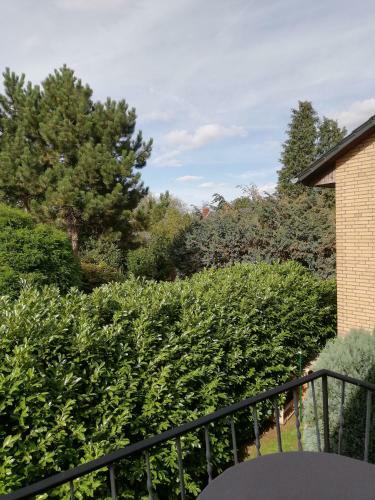 Hostal Domizil & D�mmer