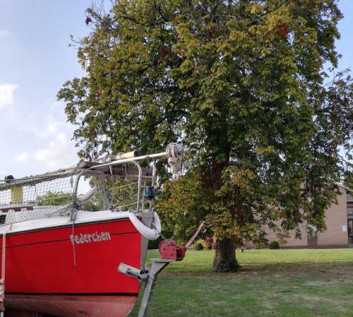 Hostal Domizil & D�mmer