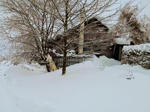Apartamento Gro�e Ferienwohnungen 5 Und 6 "pumphut's Scheune"