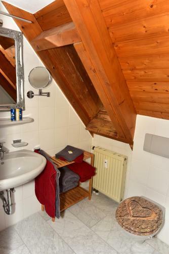 Apartamentos Black Forest Bollenhut Deluxe