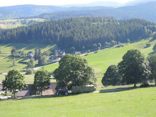 Apartamento Ferienwohnung Saig