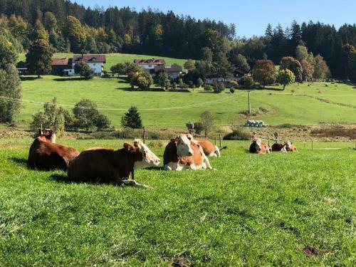 Apartamento Biohof Weiderer