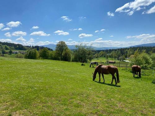 Apartamento Biohof Weiderer