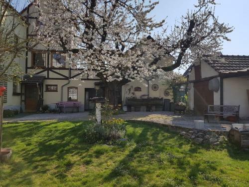Apartamento Ferienwohnung Zum-alten-kirschbaum