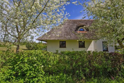 Holiday Resort Van Der Valk Linstow - Dms02134-fyc
