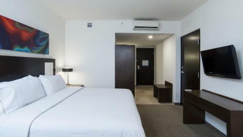 Hotel Holiday Inn Express Guadalajara Autonoma
