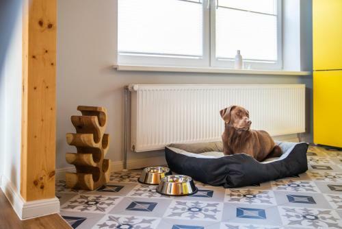Elli�s Hus