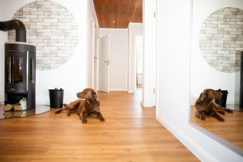 Elli�s Hus