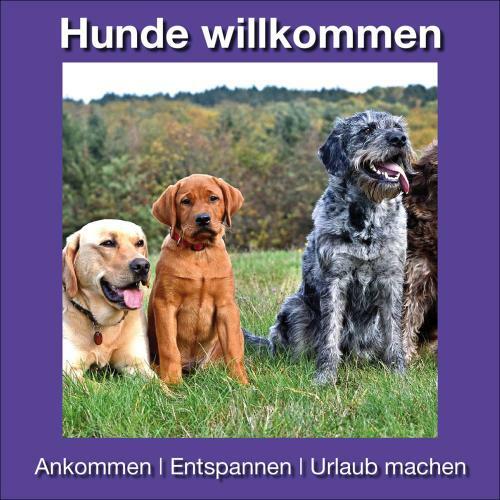 Apartamento Ferienwohnung Beckendorf