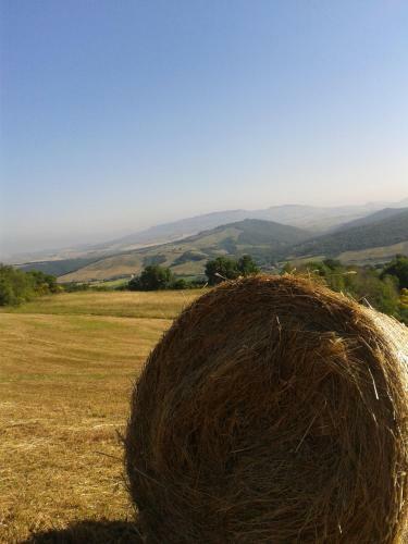 Agroturismo Agriturismo Santa Chiara