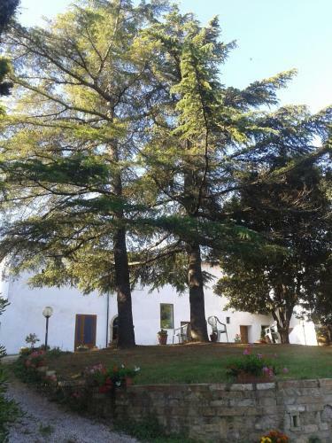 Agroturismo Agriturismo Santa Chiara