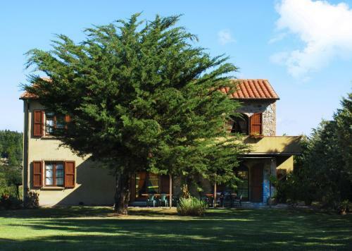 Apartamento Appartamento Uva - Agriturismo Le Selvole