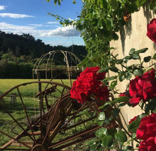 Agroturismo Agriturismo San Carlo