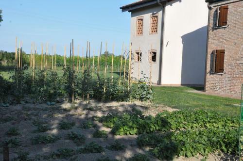 Apartamento Casa Sansovino