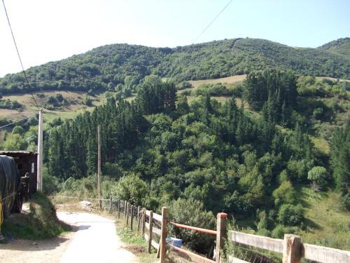 Hostal La Anjana Ojedo