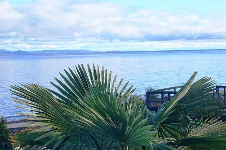 Hotel Buena Vista By The Sea