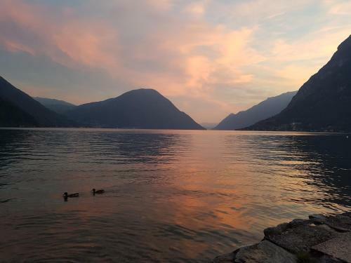 Lugano 25a