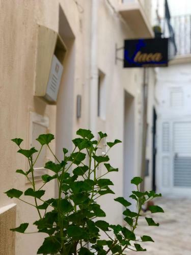 Itaca Home To Explorers In Polignano A Mare
